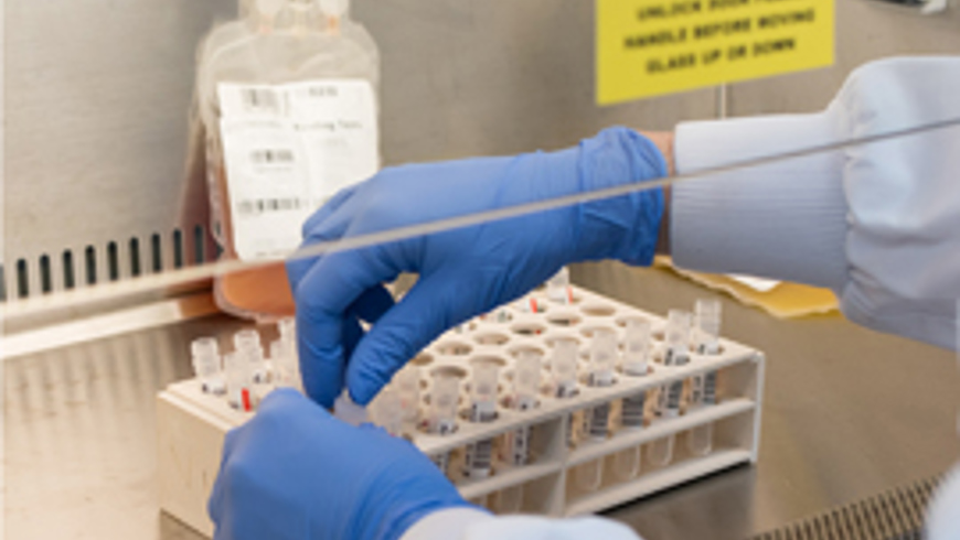 CIGB keeping blood safe
